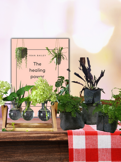 the healing power of plants book, 3 vase propagator and waxed canvas pots set