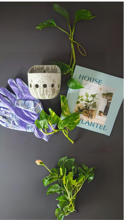 House Planted Gift Set with Garden Gloves