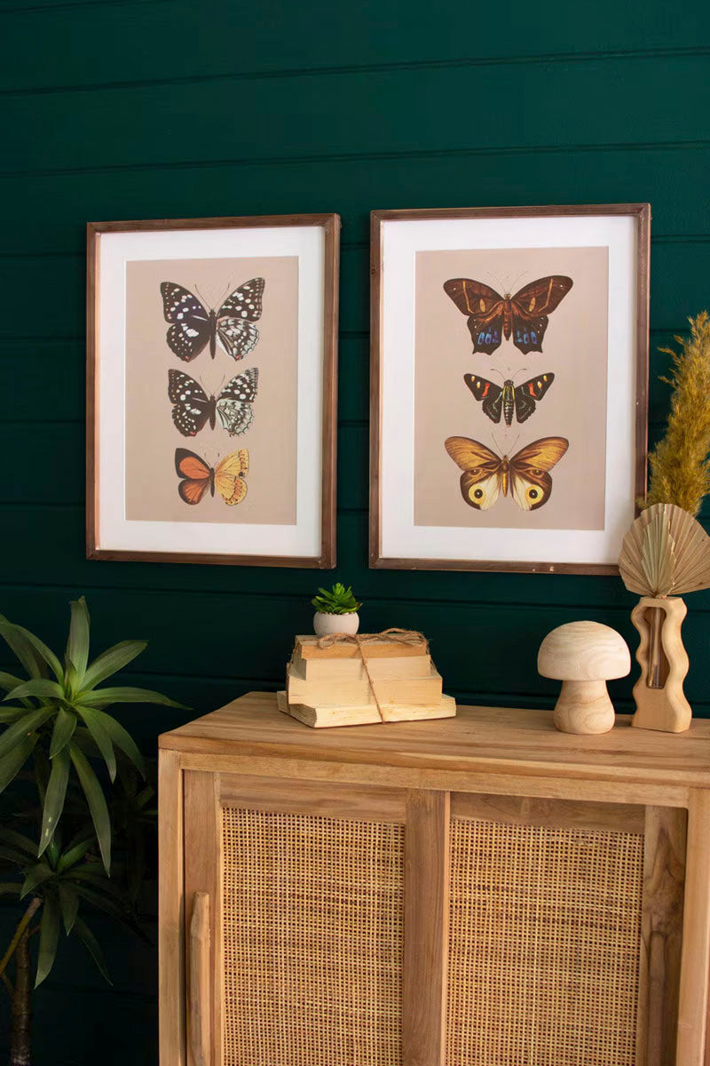 FRAMED BUTTERFLY PRINTS UNDER GLASS