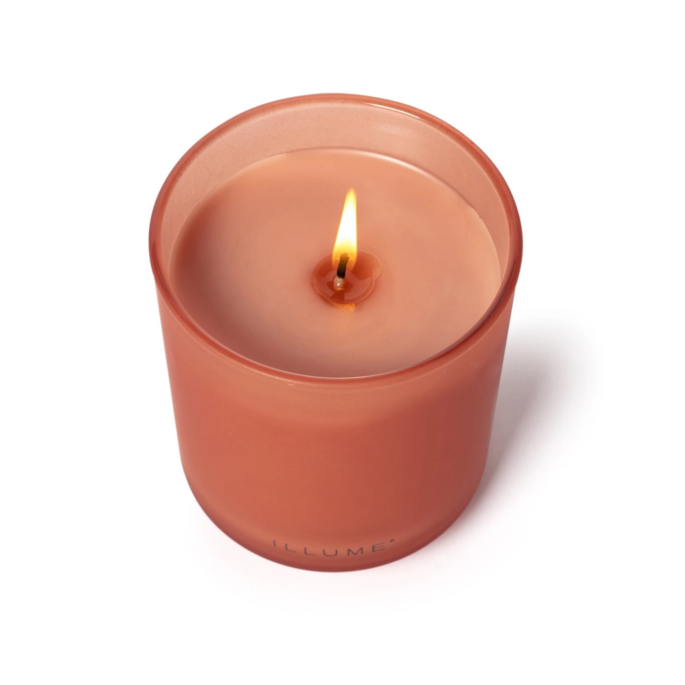 Paloma Petal Boxed Glass Candle