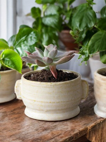 Stoneware Planter