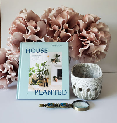 house planted book, orchid wall planter and magnifier lens set