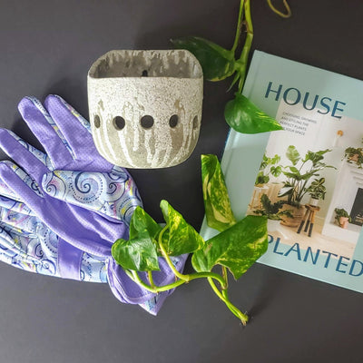 house planted book, orchid wall planter and lavender garden gloves
