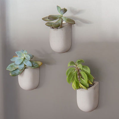 MAGNETIC PLANT POTS