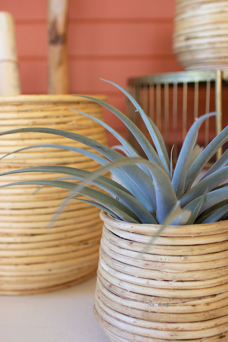 SET OF THREE WOVEN WILLOW PLANTERS
