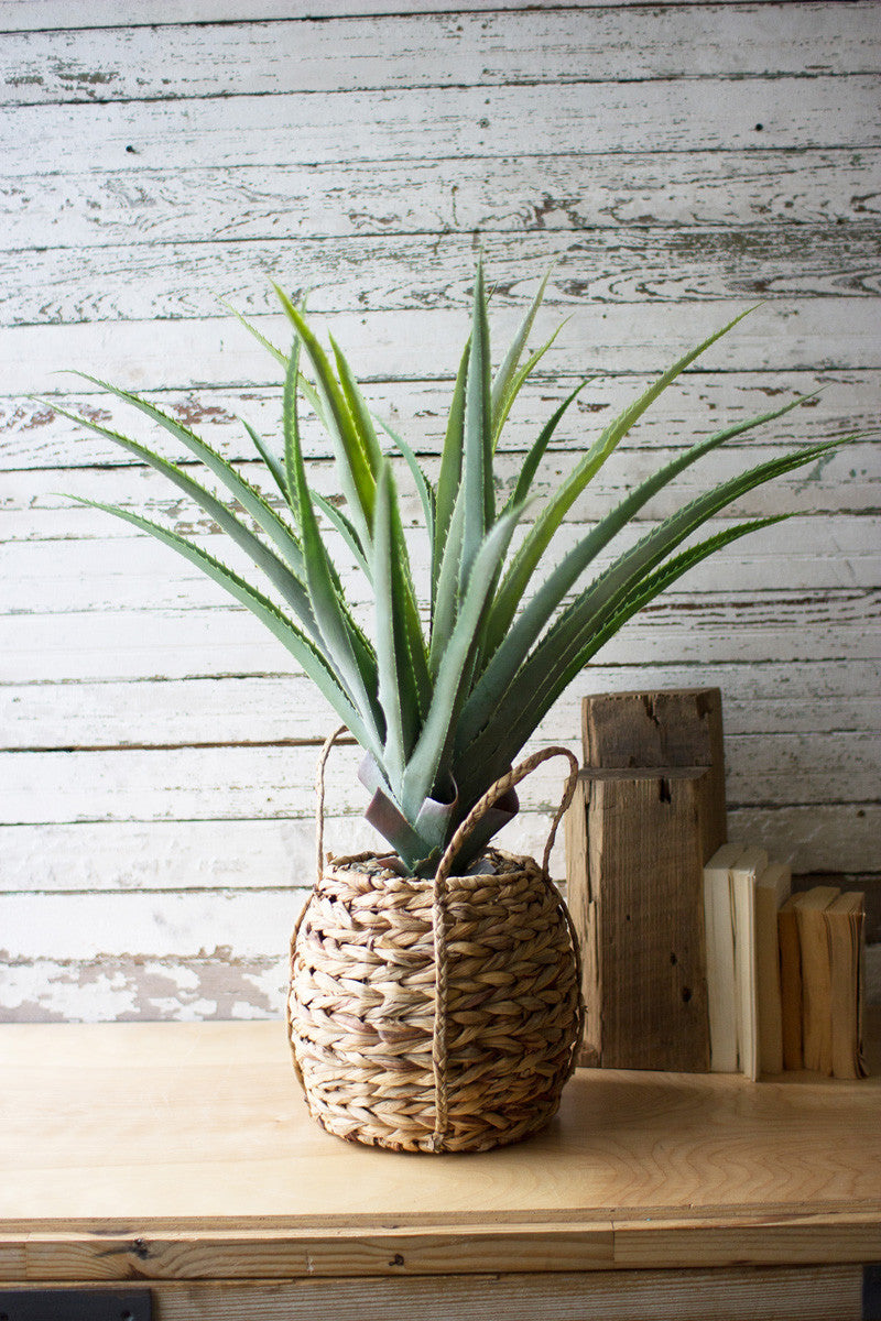 ARTIFICIAL ALOE IN A WOVEN POT