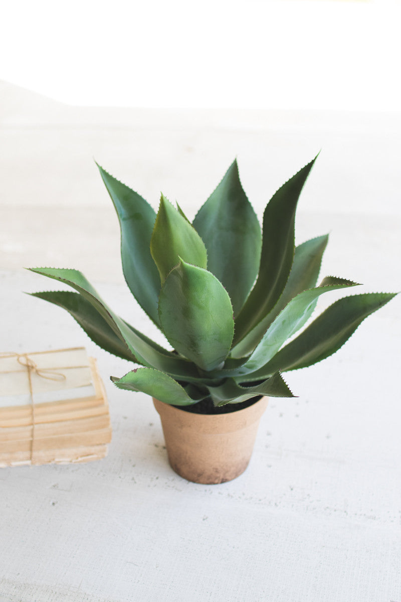 ARTIFICIAL AGAVE IN A PAINTED PLASTIC POT