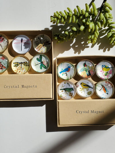 Dragonfly/Birds Crystal Magnets