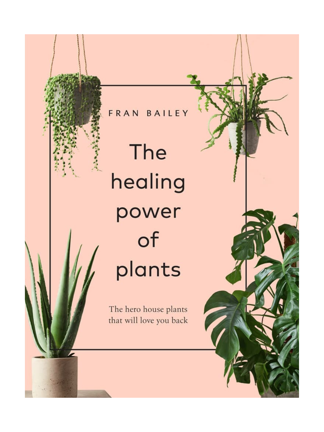 The Healing Power of Plants Gardening Book
