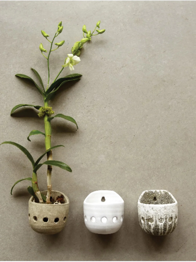 Orchid wall planter