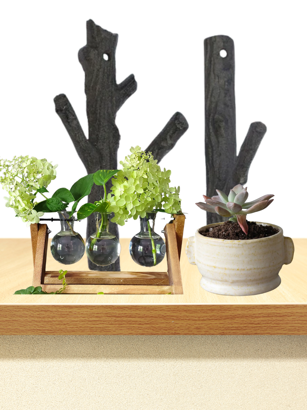 iron twig wall hooks, stoneware pot and 3 vase desktop propagator set