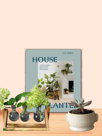 House planted gardening book, 3 vase propagator and stoneware pot set