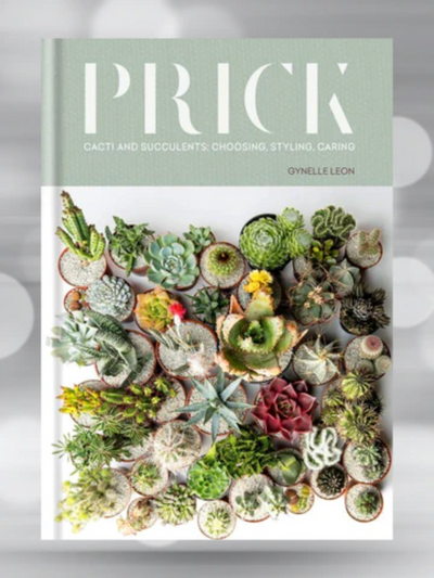 cactus and succulents gardening book