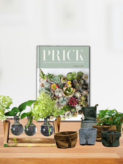 Succulent Book & Desktop Vase Set