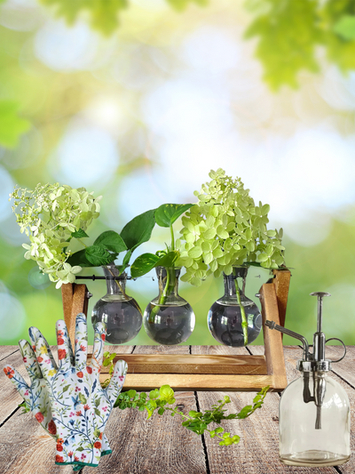 3 vase propagator, floral garden gloves and glass mister set