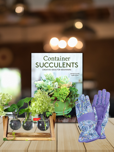 Succulent Book & Desktop Vase Accessories