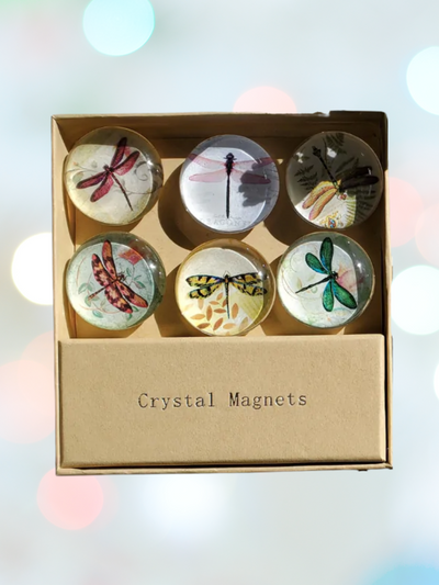 dragonfly crystal magnets