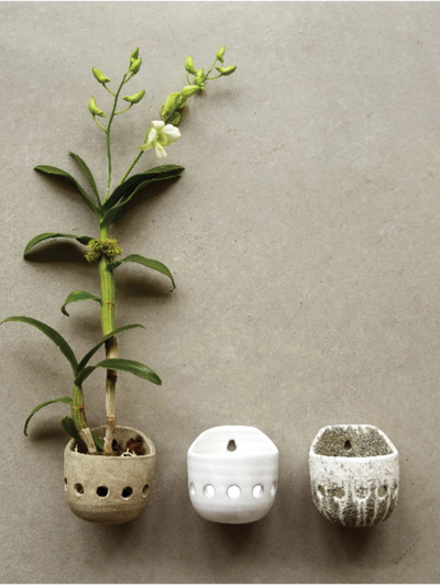 Distressed Orchid Wall Planter
