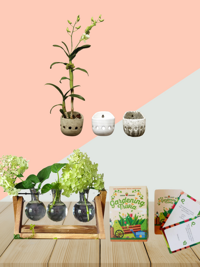 orchid wall planter, 3 vase propagator and gardening trivia set