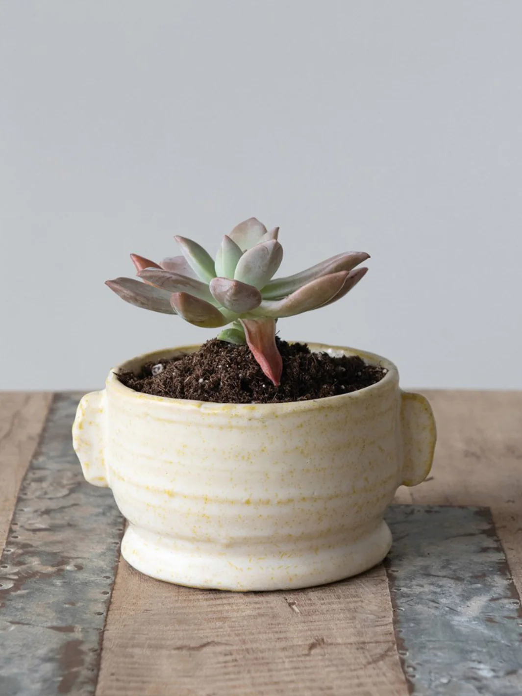 stoneware pot