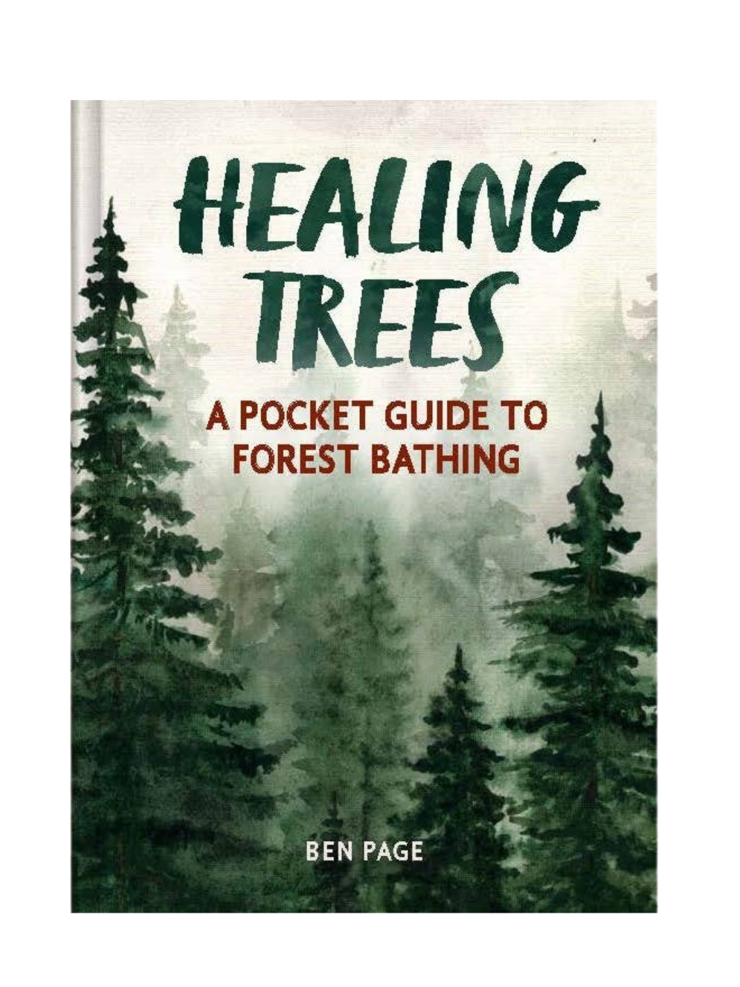 Healing Trees Guide to Forest Bathing