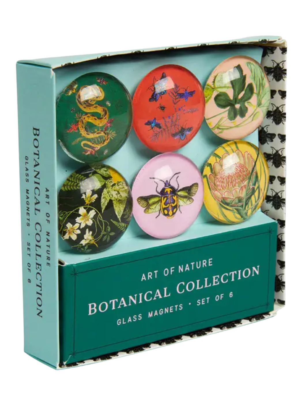 Botanical Glass Magnet Set